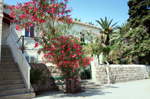  Guest House Katica in Zaton