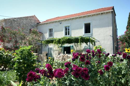  Guest House Katica in Zaton