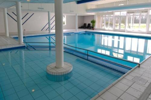 Peldbaseins, Ster-Appartement ""ZEEDUIN"", met eigen KEUKEN, ZONNIG TERRAS, VERWARMD ZWEMBAD, nabij DORP, DUINEN  in Amelanda