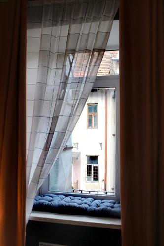Apartment in blue в історичному центрі міста - image 3