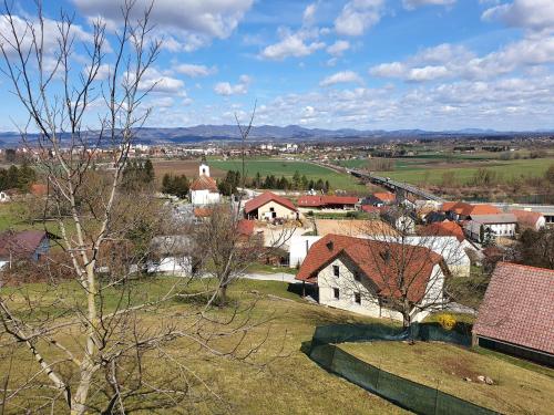 Gnezdo Vid-ik - image 10