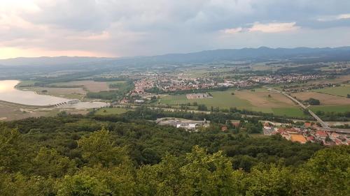 Gnezdo Vid-ik - image 8