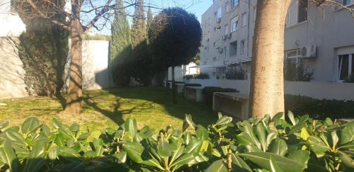 Apartment Lodore del Mare by sea - image 36
