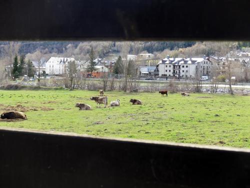 Kilátás, vivienda isabel in Sesue