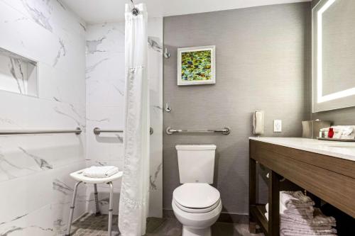 Best Western Premier Calgary Plaza Hotel & Conference Centre Room Type - King Room with Roll-In Shower - Disability Access