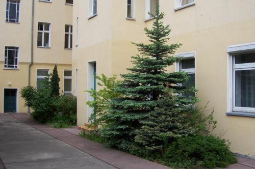 Hotel Pension Streuhof Berlin - image 13