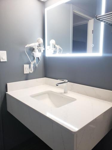 Two Room Kitchenette Suite
