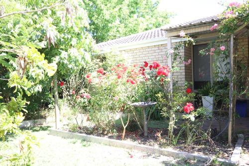 Busselton Home, Secret Garden, Hot Outdoor Bath and pet friendly