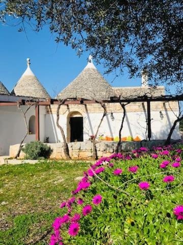 Trulli di Mercedes gîte à louer Triggianello
