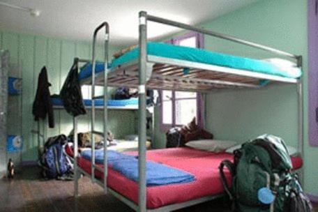 Single Bed in 6-Bed Female Dormitory Room