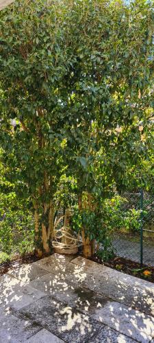 Jasmine Country House