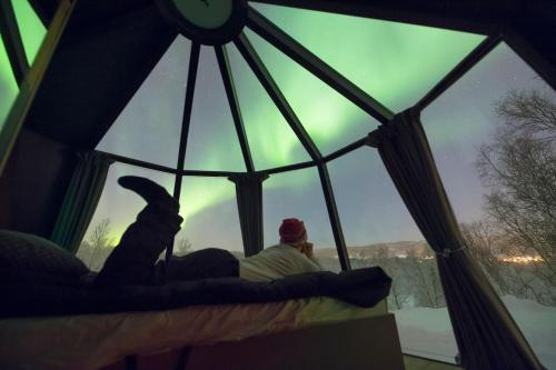 Aurora Borealis Observatory Room Type - Aurora Hut