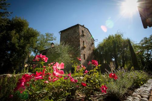 Mulino in Chianti - Apartment - Gaiole in Chianti