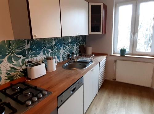 Lemuria Hostel Szkolna centrum in 萊格尼察市中心