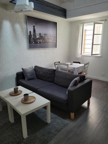 Duplex cosy au coeur de metz.