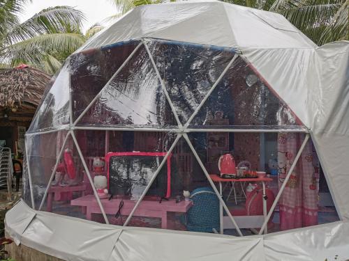 Glamping Dome Dauin Beach and Dive Resort