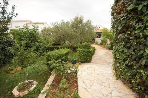Apartment with Terrace image 6