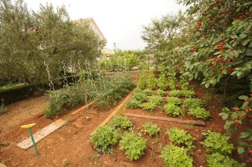 Apartment with Terrace image 8