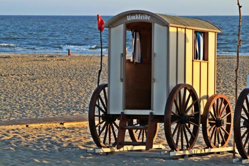 Nordseekrabbe - image 5