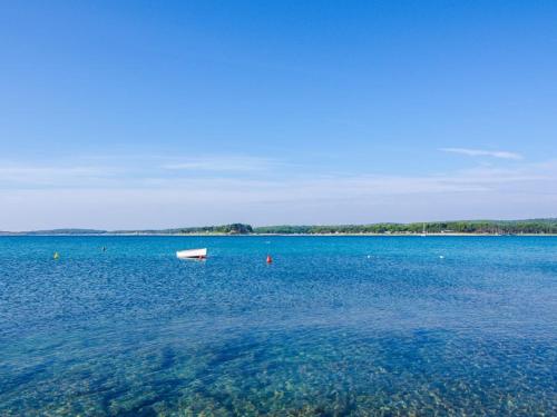 Apartment in Medulin with sea view, terrace, air conditioning, Wi-Fi (4635-2), Medulin (photo 8)