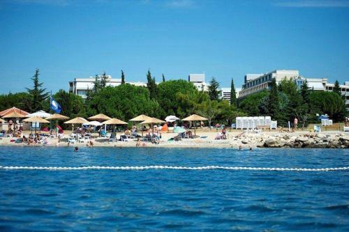 Studio apartment in Novigrad with balcony, air conditioning, WiFi (4926-2)