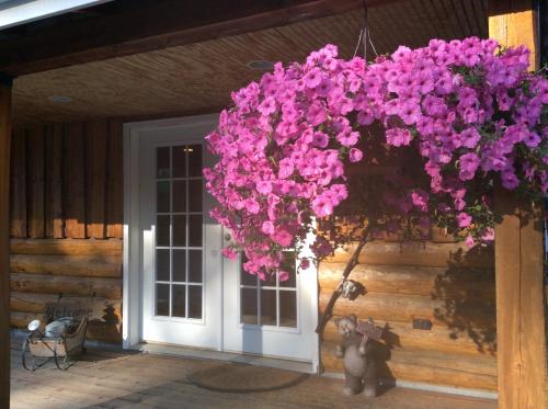 Denali Fireside Cabin & Suites - image 2