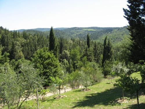 Tenuta la Cipresseta