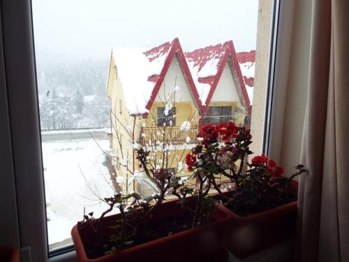 弗洛拉汽车旅馆 (Motel Flora) in 勒普萨