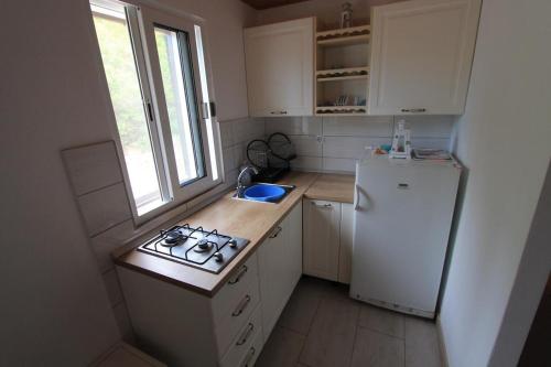 Secluded fisherman's cottage Cove Rasohatica, Korcula - 9233