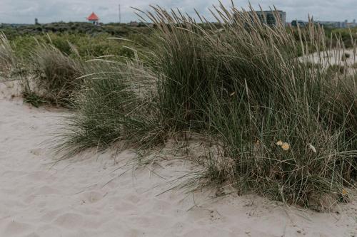 Strand, Beau séjour (Beau sejour) in Bredene