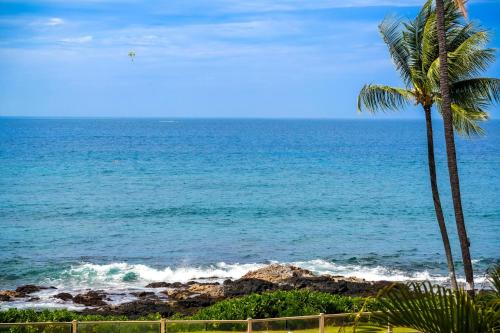 Ocean Hale - image 6