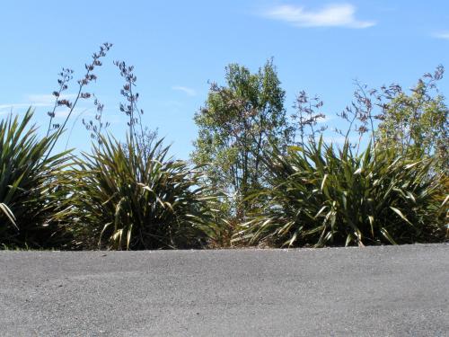 2 Views at Tasman - Accommodation