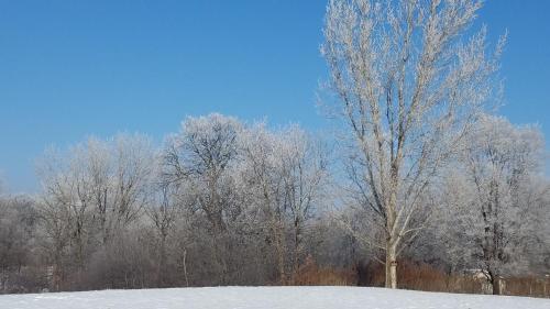 Burr Oak Motel