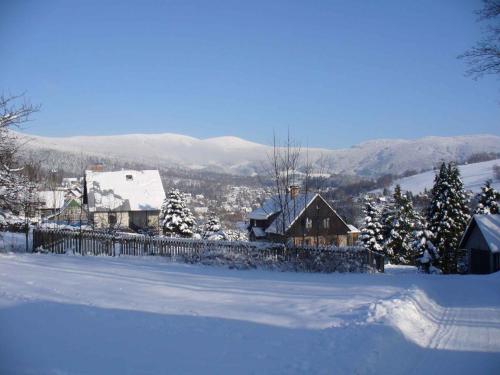 Apartment in Rokytnice nad Jizerou 2471