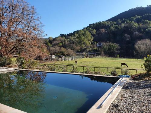 VIlla in Bargemon with Private Swimming Pool