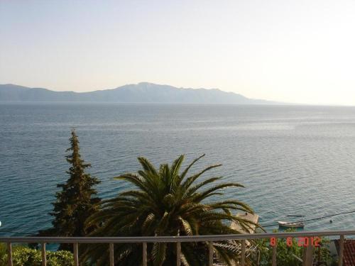 Studio apartment in Brist with Seaview, Balcony, Air condition, WIFI (4333-2), Brist (zdjęcie 9)
