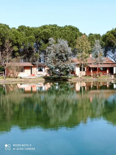 La Casetta Sul Lago B&B chambre d'hôte Castelfranco di Sotto