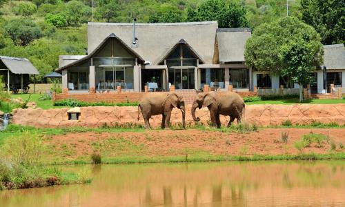 View, African Hills Safari Lodge & Spa in Magaliesburg
