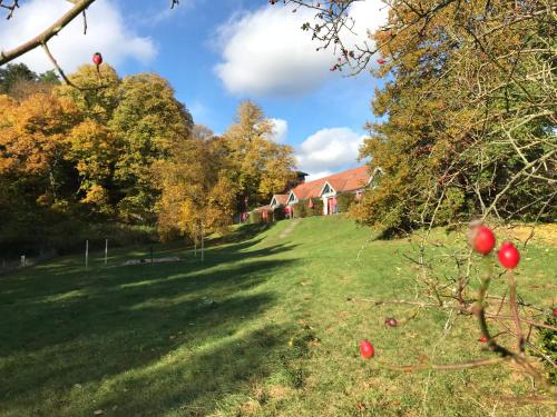 Familienferienpark Dambeck 1.5km von Kratzeburg entfernt