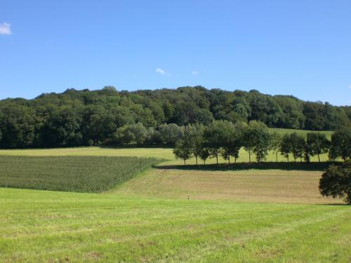 Cosy holiday homes in Slenaken South Limburg with views on the Gulp valley. - image 4