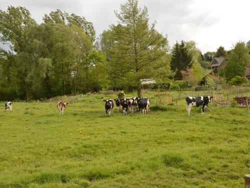 Hoeve A Gen Water - image 5