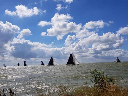 Lovely Holiday Home in Stavoren near Frisian Lakes