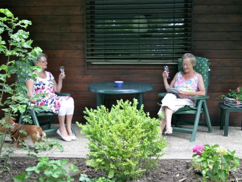 Welcoming chalet with a microwave in the Achterhoek - image 7