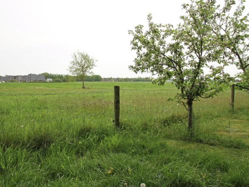 Holiday home in quiet surroundings