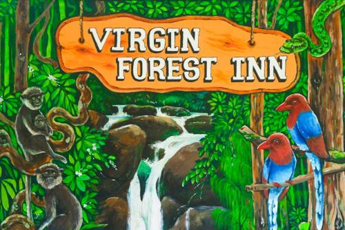 Virgin Forest Inn