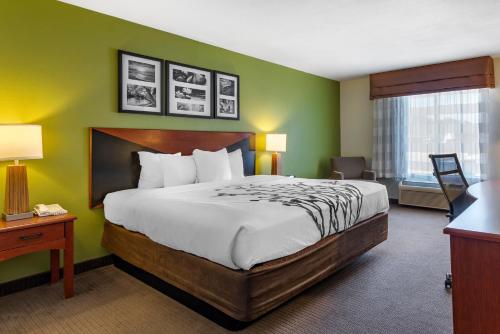 Sleep Inn & Suites Stockbridge Atlanta South in สตอกบริดจ์ (GA)
