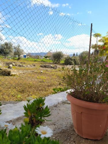 Ancient Gortyna Home -Mitropolis, Heraklion