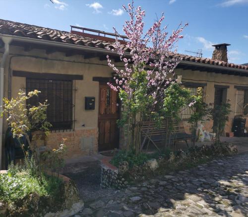 . Casa rural pepe