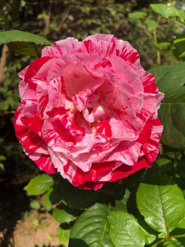 Le Chai De La Rose SPA et Séances Bien être