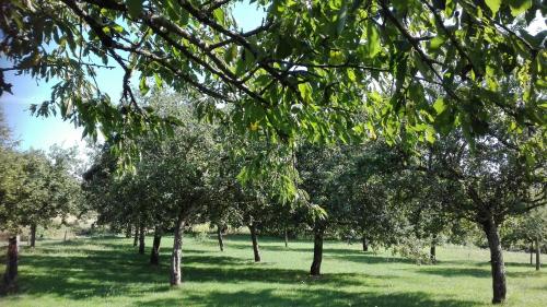 Gite LA ROCHERIE